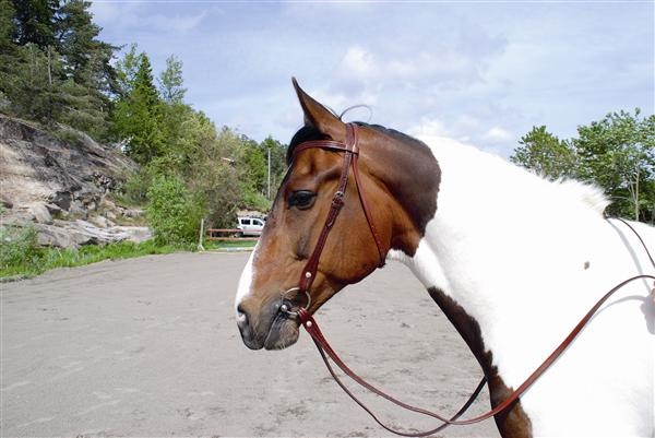 Heimer Westernhodelag