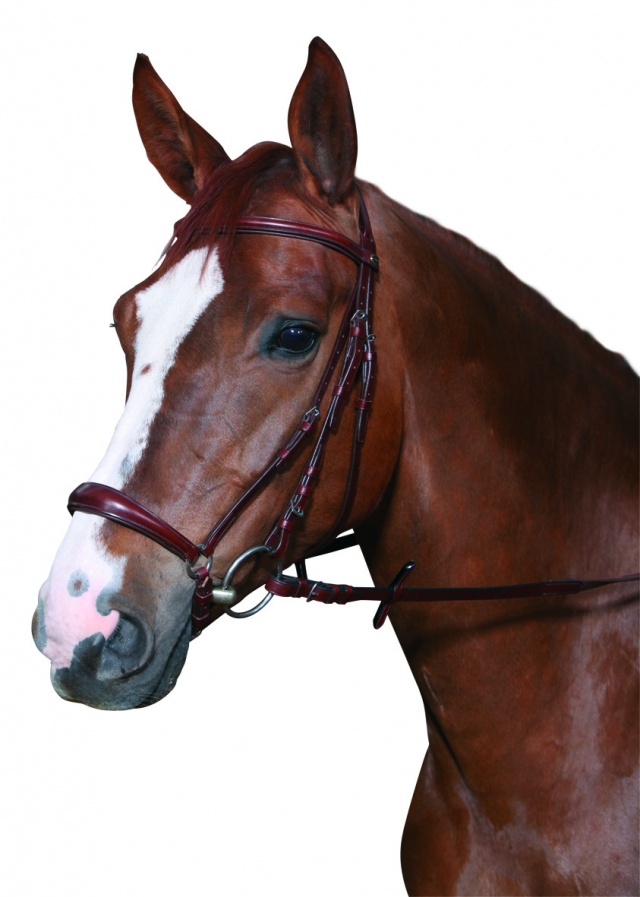 Cheval, hodelag. 