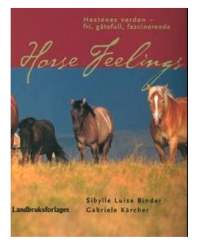 Horse feelings. TILBUD