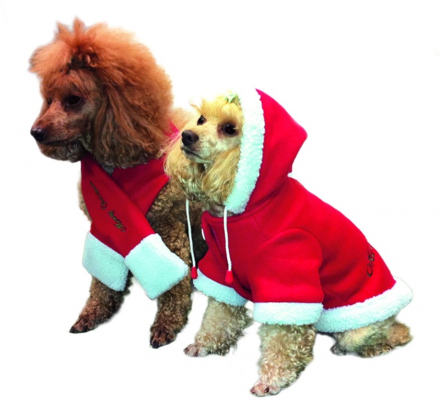 Jule Hundedekken