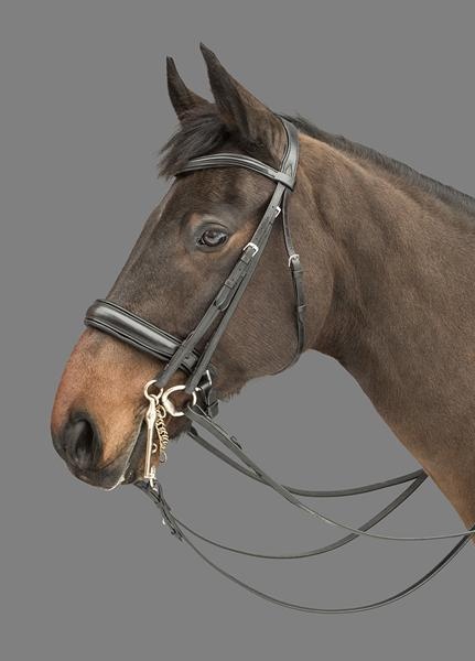 Donnerwetter multi bridle. MH.