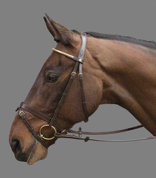 Gladstone bridle MH.