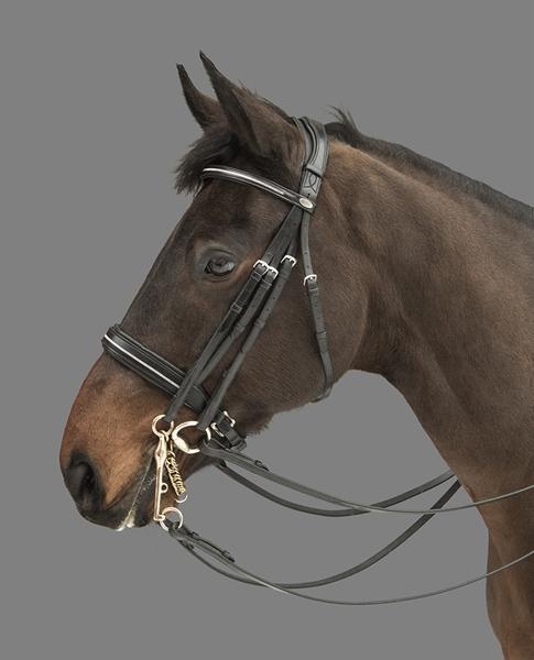 Rubicon multi bridle. MH.