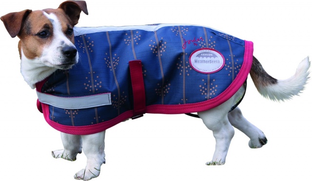WeatherBeeta Joules