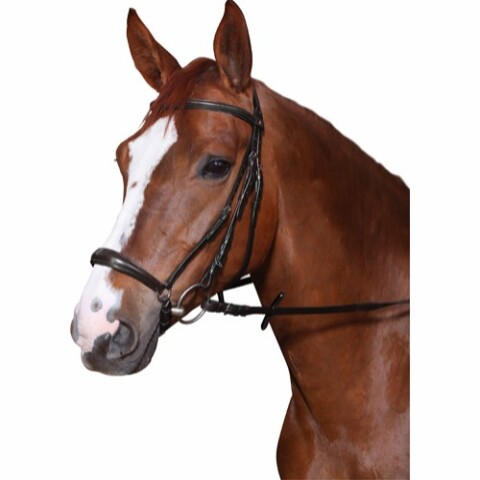 Cheval hodelag